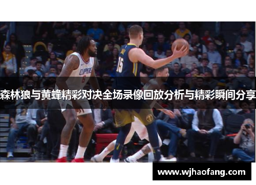 森林狼与黄蜂精彩对决全场录像回放分析与精彩瞬间分享