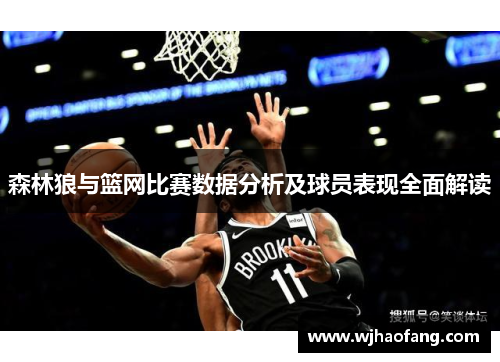 森林狼与篮网比赛数据分析及球员表现全面解读